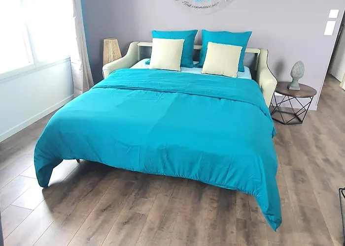 아파트 L'echo Des Vagues ,face Mer, Vue Imprenable, Pour 2 A 4 Personnes *